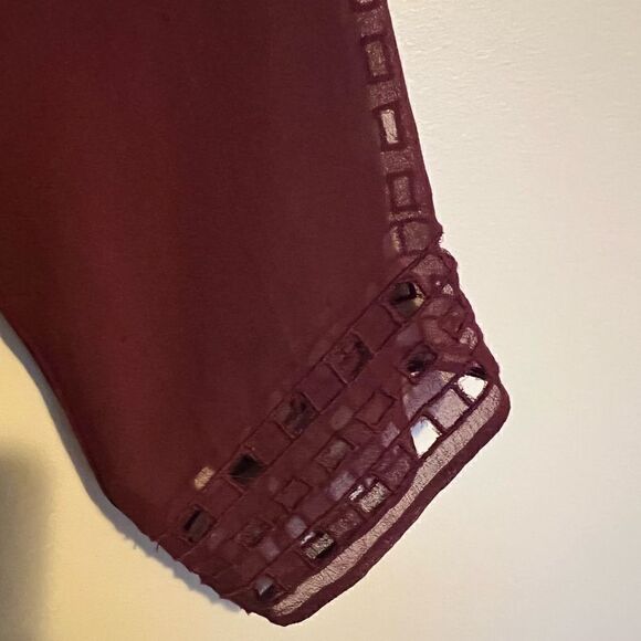 Joie Gaiane sheer chiffon embroidered top in Raisin - Picture 13 of 13